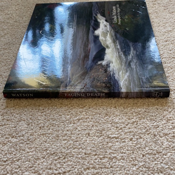 Facing Death by Linda Watson - Picture 6 of 7